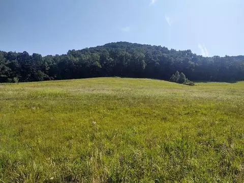 1200 Clearfork Rd, Morehead, KY 40351 photo 56