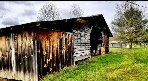 190 Bowen Rd, Stanton, KY 40380 photo 5