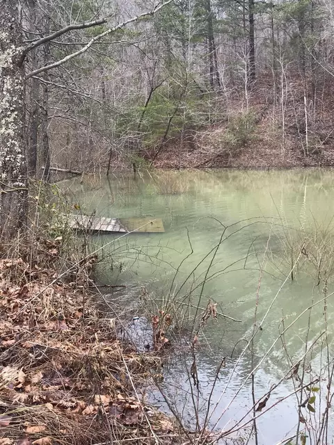 3983 Upper Gilmore Rd, Campton, KY 41301 photo 29