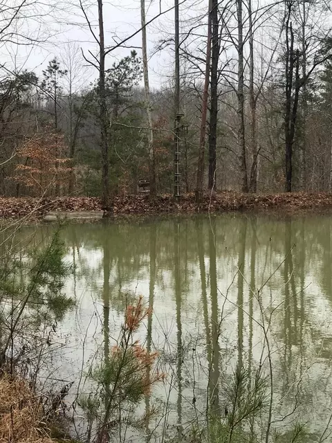 3983 Upper Gilmore Rd, Campton, KY 41301 photo 23
