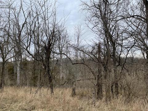 5152 Muddy Ford Rd, Georgetown, KY 40324 photo 7