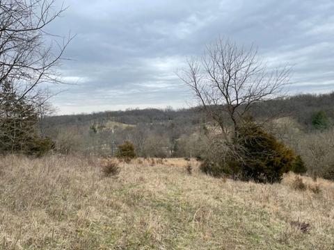 5152 Muddy Ford Rd, Georgetown, KY 40324 photo 3