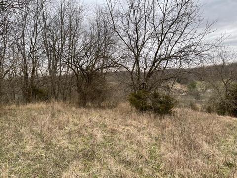 5152 Muddy Ford Rd, Georgetown, KY 40324 photo 4