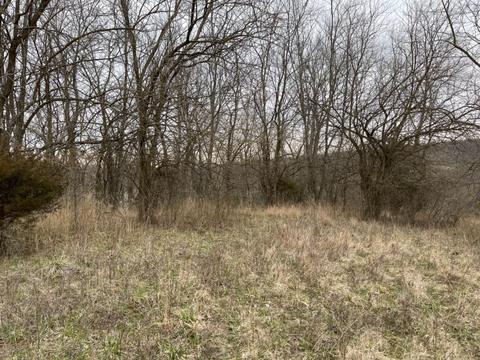 5152 Muddy Ford Rd, Georgetown, KY 40324 photo 5