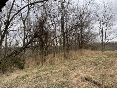5152 Muddy Ford Rd, Georgetown, KY 40324 photo 8