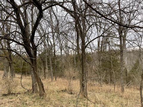5152 Muddy Ford Rd, Georgetown, KY 40324 photo 6
