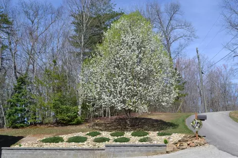 181 Laurel River Rd, Corbin, KY 40701 photo 5