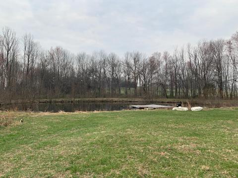 3125 Old Bull Rd, Eubank, KY 42567 photo 12