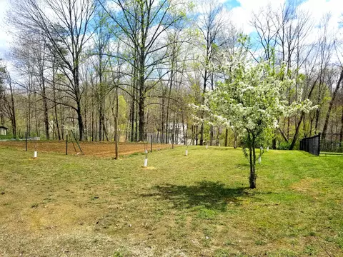 166 Maple Ln, Morehead, KY 40351 photo 14