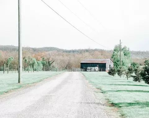 6689 Cartersville Rd, Berea, KY 40403 photo 29