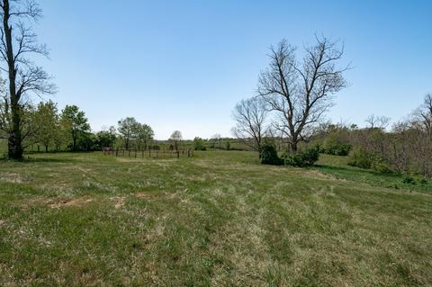 276 Cane Run Rd, Georgetown, KY 40324 photo 49