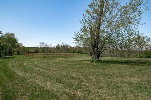 276 Cane Run Rd, Georgetown, KY 40324 photo 51