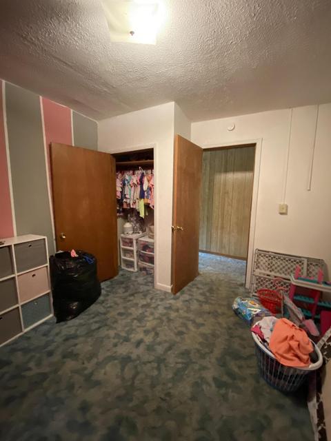 60 Red Witt Rd, Emlyn, KY 40730 photo 9