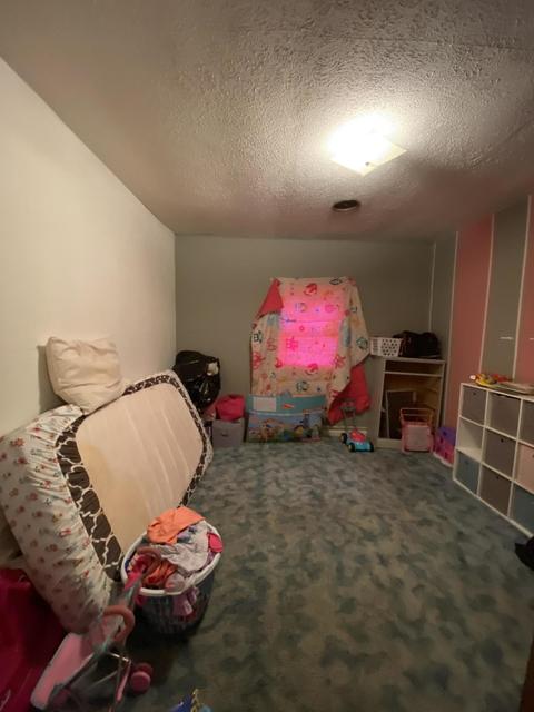 60 Red Witt Rd, Emlyn, KY 40730 photo 8