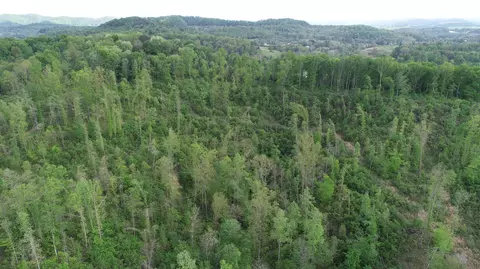 395 Ainer Jackson Rd, Corbin, KY 40701 photo 11