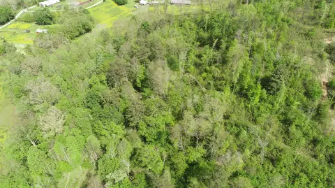 395 Ainer Jackson Rd, Corbin, KY 40701 photo 6