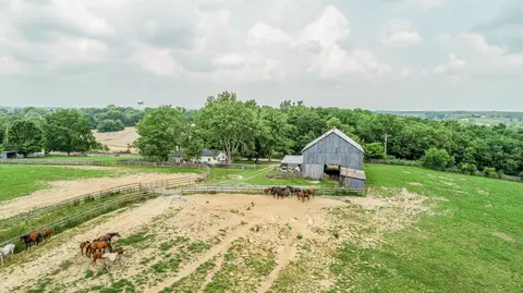 180 Levy Rd, Paris, KY 40361 photo 7