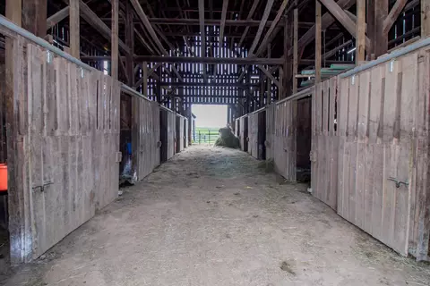 180 Levy Rd, Paris, KY 40361 photo 12