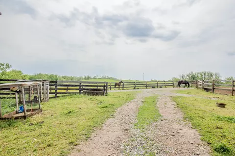 180 Levy Rd, Paris, KY 40361 photo 16