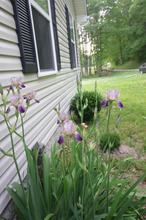 4655 Bullfork Rd, Morehead, KY 40351 photo 18