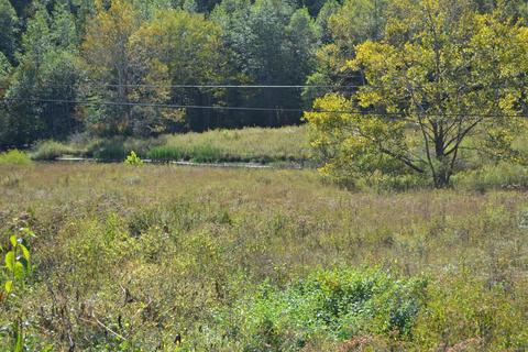 9999 Teges Creek Rd, Manchester, KY 40962