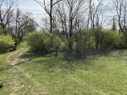 4682 Muddy Ford Rd, Georgetown, KY 40324 photo 4