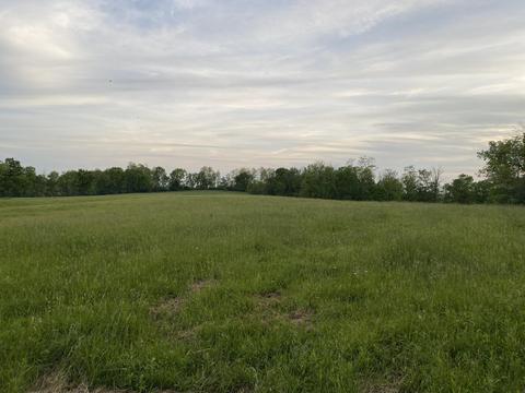 4686 Muddy Ford Rd, Georgetown, KY 40324 photo 9