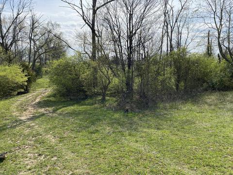 4686 Muddy Ford Rd, Georgetown, KY 40324 photo 6