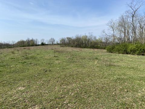 4686 Muddy Ford Rd, Georgetown, KY 40324 photo 3