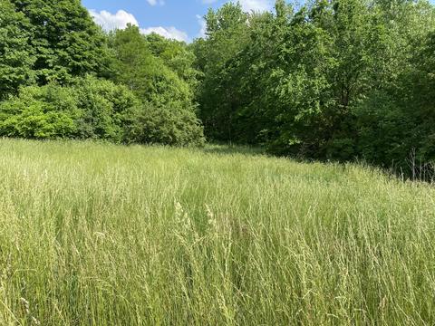 601 Ecton Rd, Winchester, KY 40391 photo 1