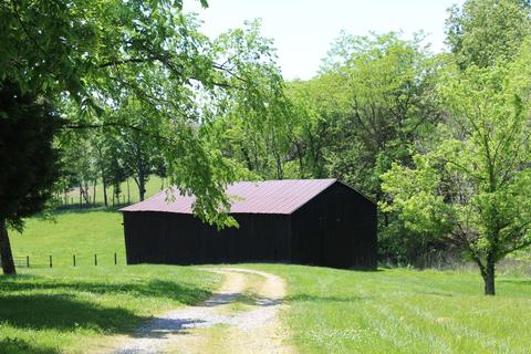 334 Storey Ln, Ewing, KY 41039 photo 19