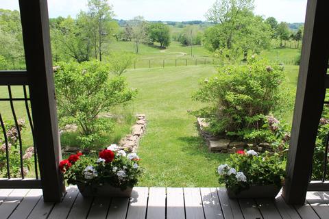334 Storey Ln, Ewing, KY 41039 photo 3
