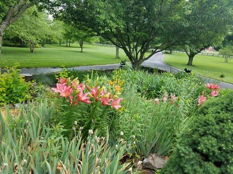 977 Rogers Rd, Lancaster, KY 40444 photo 8