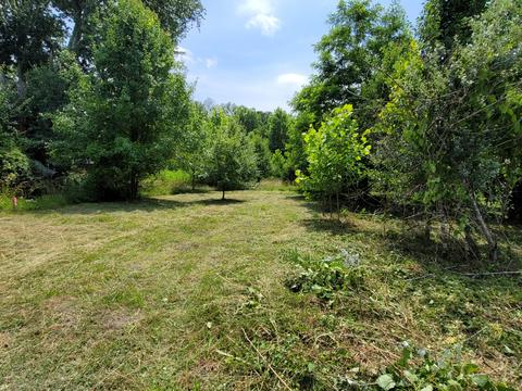 564 Waco Loop Rd, Waco, KY 40385 photo 1