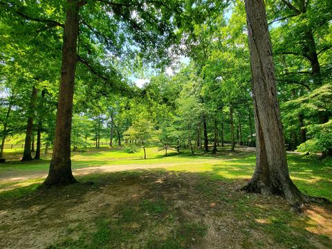 198 Tamerlane Dr, Corbin, KY 40701 photo 11