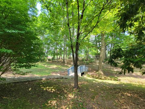 198 Tamerlane Dr, Corbin, KY 40701 photo 8