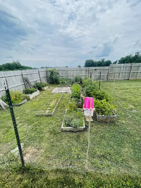 116 Central Park Ave, Berea, KY 40403 photo 27