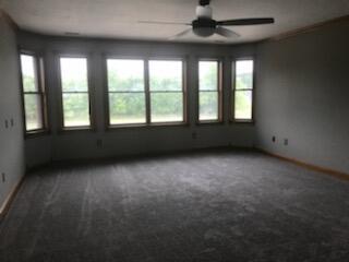 247 Mccoy Rd, Grayson, KY 41143 photo 19