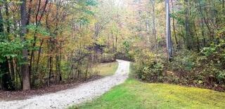 1392 High Rock Rd, Stanton, KY 40380 photo 6