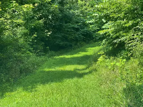 519 Lanetown Rd, Nancy, KY 42544 photo 59