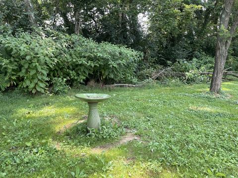 672 Blair Rd, Ewing, KY 41039 photo 60