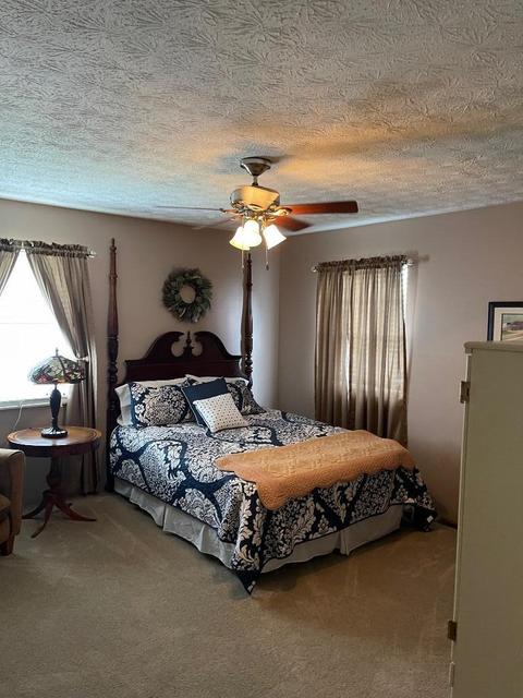 44 Adkins Loop, Olive Hill, KY 41164 photo 11