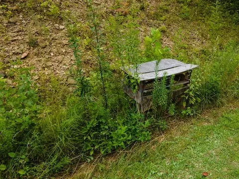 9231 State Hwy 1482, Oneida, KY 40972 photo 33