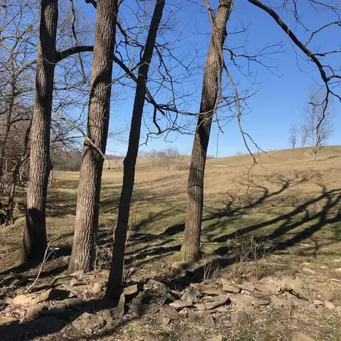 887 Rogers Gap Rd, Georgetown, KY 40324 photo 26