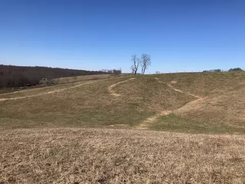 887 Rogers Gap Rd, Georgetown, KY 40324 photo 24