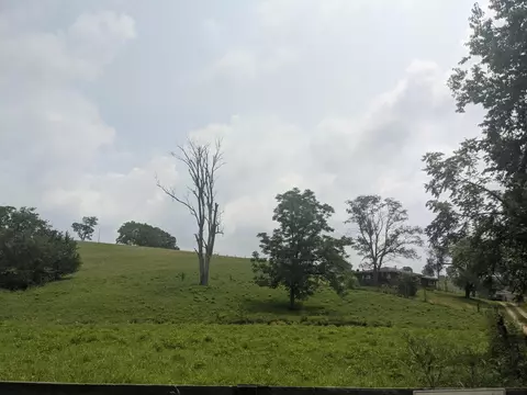 887 Rogers Gap Rd, Georgetown, KY 40324 photo 6