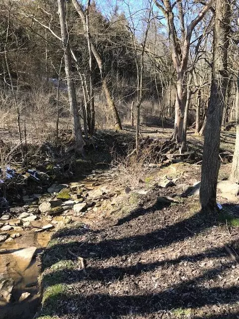 887 Rogers Gap Rd, Georgetown, KY 40324 photo 22