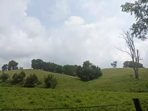 887 Rogers Gap Rd, Georgetown, KY 40324 photo 4