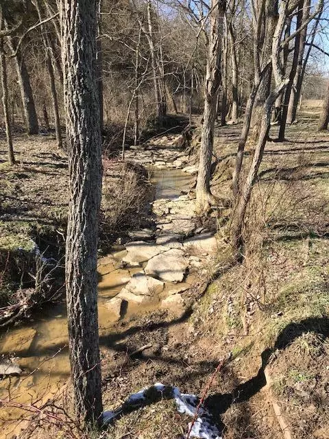887 Rogers Gap Rd, Georgetown, KY 40324 photo 3