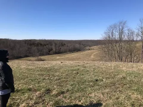887 Rogers Gap Rd, Georgetown, KY 40324 photo 15